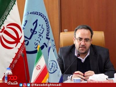 حذف واسطه‌ها ۱۰ تا ۱۲ درصد از قیمت ماهی کم می‌کند