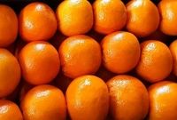 از ۷۰۰ هزار تن پرتقال مازاد فقط ۳۰۰ هزار تن آن صادر می‌شود