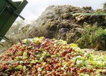 هدررفت ۲۳ درصد از محصولات کشاورزی کشور