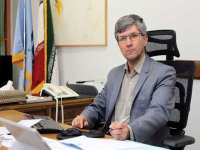 هویت‌ها و حساب‌های اجاره‌ای سهم بالایی در اخلال‌های بازار ارز دارند