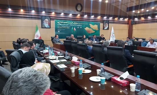 نشست هماهنگی معرفی فرصت‌های تجاری ایران و عربستان برگزار شد
