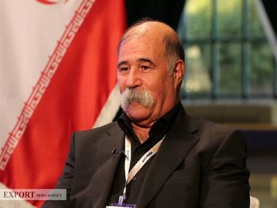 از وزیر التماسی صمت بخواهید که به اتاق بازرگانی بیاید و مشکلات ما را حل کند!