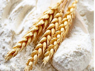 زیان ۷۰ هزار میلیارد تومانی دولت از فروش آرد یارانه‌ای در سال ۱۴۰۱