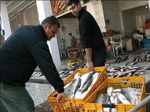 برنامه وزارت جهاد کشاورزی برای واردات ماهی ارزان قیمت در عین رشد و حمایت از تولید داخلی/ شیلات مانع اصلی!