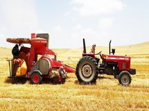 اشتغال ۸۳ درصد از فارغالتحصیلان رشتههای کشاورزی در فعالیتهای غیرکشاورزی