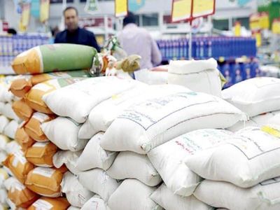 ارز برنج وارداتی نیمایی است/ افزایش ۳۰ درصدی واردات به نسبت میانگین ده سال گذشته با جهش ۳۰۰ درصدی قیمت برنج داخلی در سال ۱۴۰۱