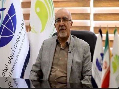 توسعه 50 درصدی صادرات آبزیان در شش‌ماهه نخست سال‌جاری