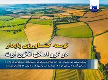 توسعه کشاورزی پایدار در گرو اصلاح قانون ارث
