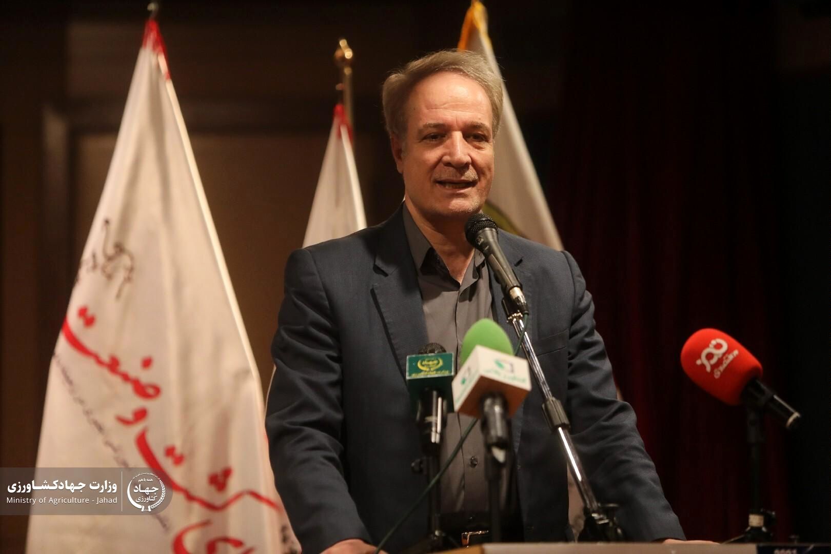 ۱۰۰ هزار تن تخممرغ صادر شد/ مشکلات روستاها روی تولید گوشت قرمز اثر گذاشته