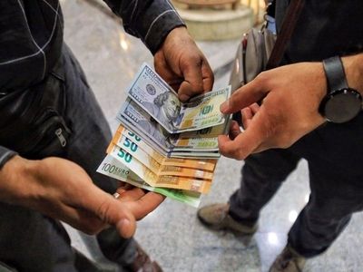 نوسان قیمت دلار زودگذر است/ بحران‌های منطقه‌ای عامل افزایش مقطعی قیمت دلار است