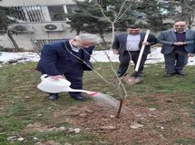 مراسم کاشت نهال مثمر با حضور مشاور رئیس جمهور برگزار شد