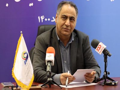 هندی‌ها چون حقوق ورودی کمتری دارند بازار فرش برزیل را از ایران گرفتند/ صادرات محصولات کشاورزی ایران به برزیل در حد ۱۰۰ میلیون دلار است