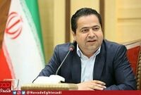 دولت برای تحقق جهش تولید، به بخش خصوصی اعتماد کند