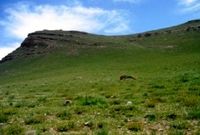 لرستان در صدر یکپارچه‌سازی اراضی کشاورزی