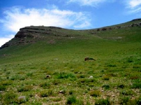 لرستان در صدر یکپارچهسازی اراضی کشاورزی