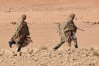 تروریسم فقط انفجار پیجر نیست، تروریسم غذایی هم کشور را تهدید می‌کند