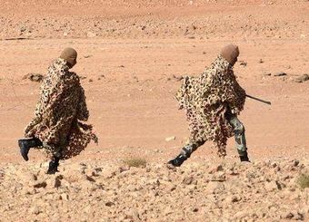 تروریسم فقط انفجار پیجر نیست، تروریسم غذایی هم کشور را تهدید می‌کند