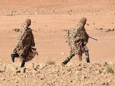 تروریسم فقط انفجار پیجر نیست، تروریسم غذایی هم کشور را تهدید می‌کند