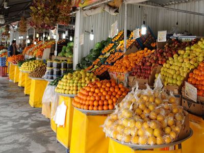 تأمین و توزیع میوه تنظیم بازاری بدون مشکل ادامه دارد