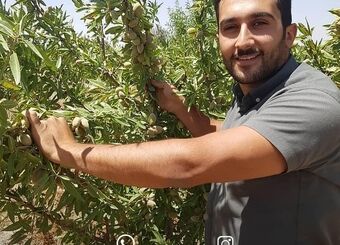احداث باغ بادام: از رؤیا تا واقعیت، راهنمای جامع برای باغداران آینده