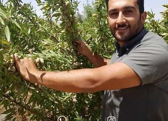 احداث باغ بادام: از رؤیا تا واقعیت، راهنمای جامع برای باغداران آینده