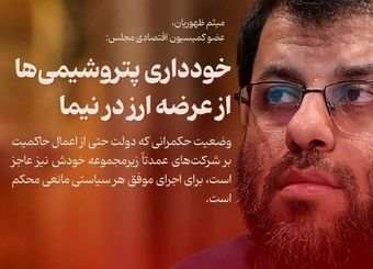 خودداری پتروشیمی‌ها از عرضه ارز در نیما
