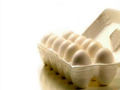 تولیدکنندگان تخم مرغ یکی یکی از نفس می‌افتند/ به وزارت جهاد هشدار می‌دهیم