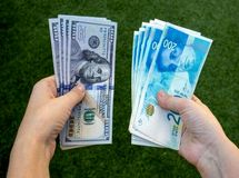 خودرو یک میلیارد دلار ارز گرفت