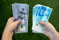 حذف رانت و فساد ارزی، بهانه نهادهای بین‌المللی نئولیبرال برای ایجاد بحران است