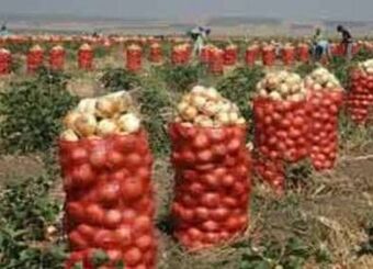 تکرار تراژدی‌های کشاورزان با بازیگری وزارت جهاد؛ اشکی که پیاز درآورد