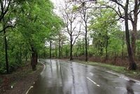 امسال بارش کشور حدود ۴۷ درصد، کمتر از متوسط بود
