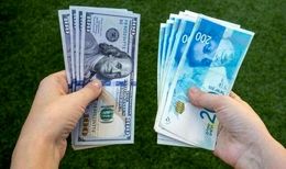 حذف ارز ۴۲۰۰ تومانی به شهید رئیسی تحمیل شد