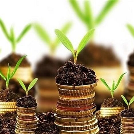 الزام اجرای قانون برنامه هفتم توسعه تا گره‌گشایی از مطالبات صندوق‌ها
