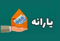 این افراد می‌توانند یارانه خود را دوباره دریافت کنند/ راهنمای کامل اعتراض حذف‌شدگان
