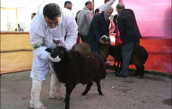اخبار آرشیوی