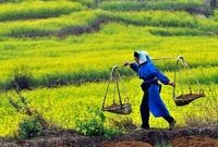 ۵ شغل پردرآمد کشاورزی که زندگی‌تان را متحول می‌کند

