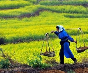 ۵ شغل پردرآمد کشاورزی که زندگی‌تان را متحول می‌کند

