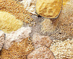 سیاست‌گذاری اشتباه در نهاده دامی قیمت گوشت را نجومی کرد
