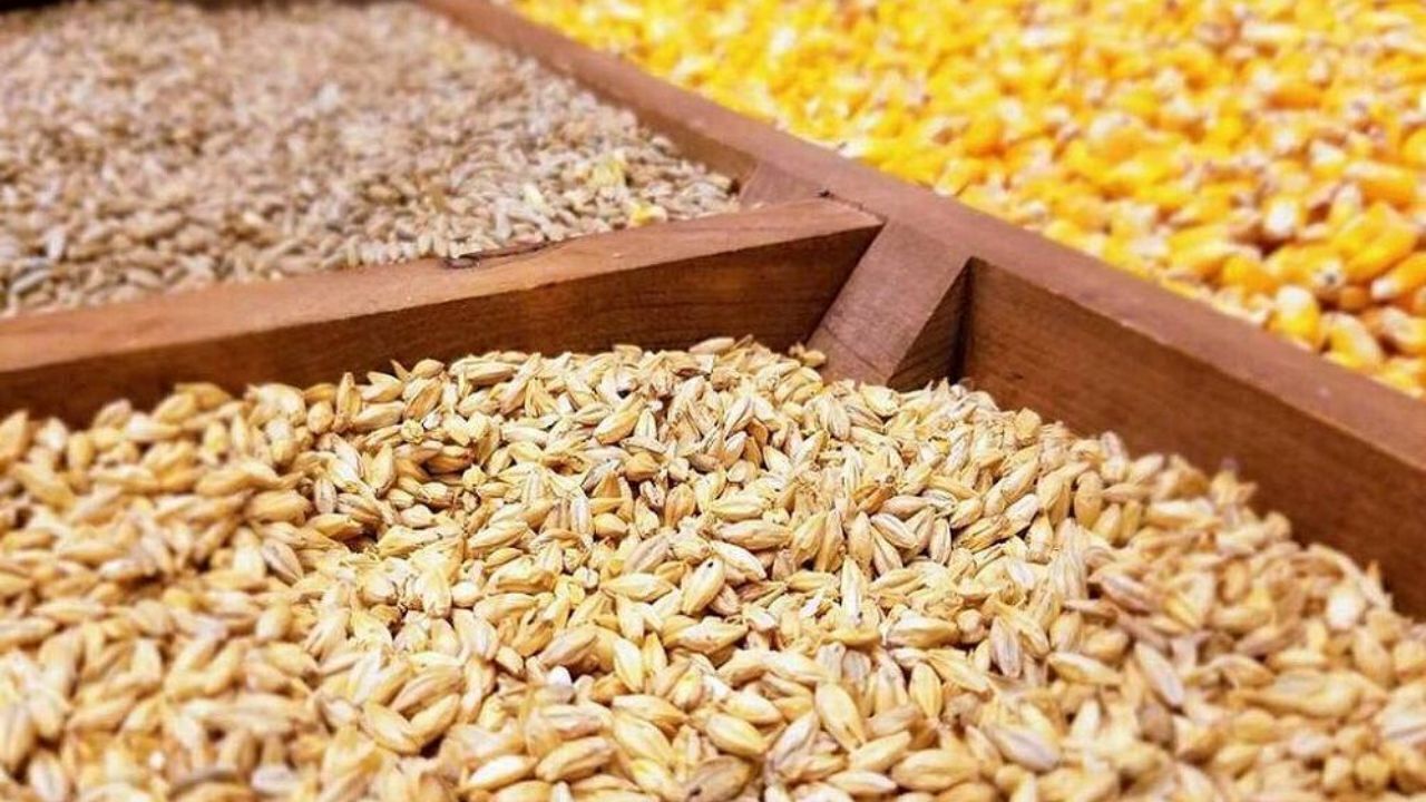 عطش بازار نهاده‌های دامی چه زمانی فروکش می‌کند؟
