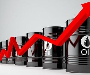 قیمت جهانی نفت امروز ۱۹ شهریور؛ برنت ۶۷ دلار و ۱۲ سنت شد
