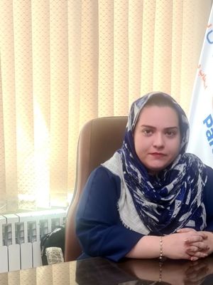 استخراج رمزارز در کشور دولتی و انحصاری است!
