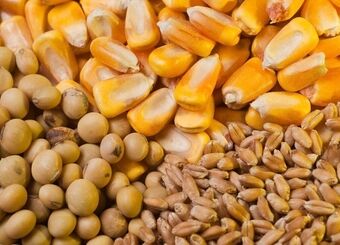 نهاده‌های فروخته شده گران نمی‌شود
