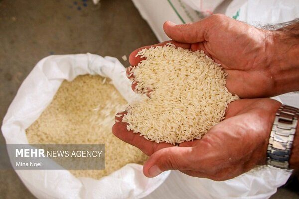 ثبت‌سفارش برنج از هفته آینده آغاز می‌شود