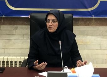 صادرات کیوی از ۷ مهر آزاد می‌شود
