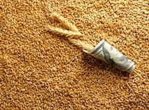 امروز قیمت خرید تضمینی گندم تعیین می‌شود

