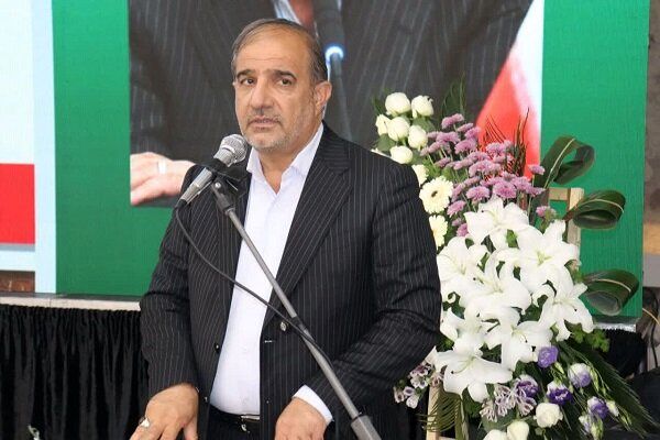 دام‌ها در مزارع سبز گندم در حال چرا هستند
