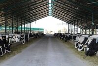 نامه سرگشاده اتحادیه کارخانجات خوراک به وزیر جهاد کشاورزی

