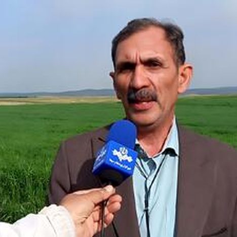 بحران بذر دیم در سال خشکسالی؛ ضرورت تسریع در پرداخت یارانه
