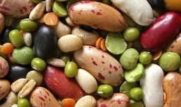 سفر حبوبات به ایران؛ از دروازه امارات تا بازارهای منطقه
