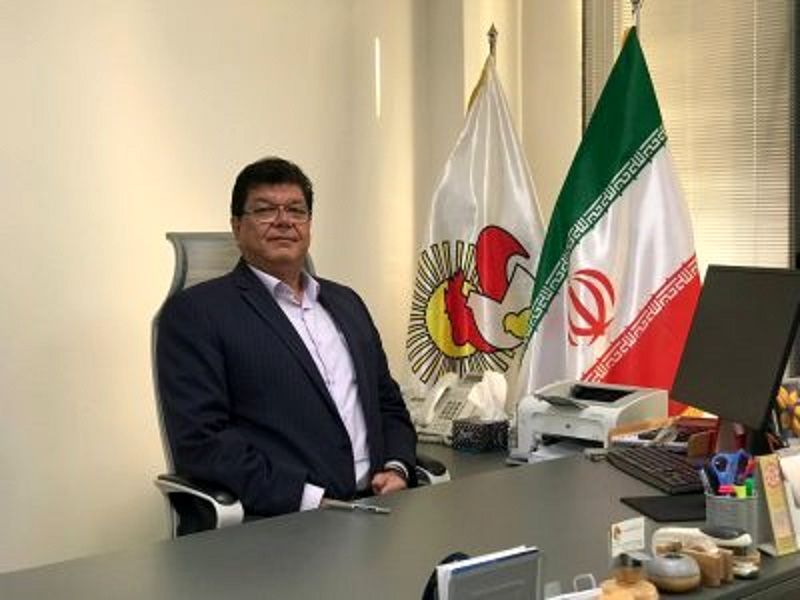 کاهش آمار جوجهریزی تکذیب شد؛ تولید ۱۵۰میلیون قطعه جوجه در هر ماه